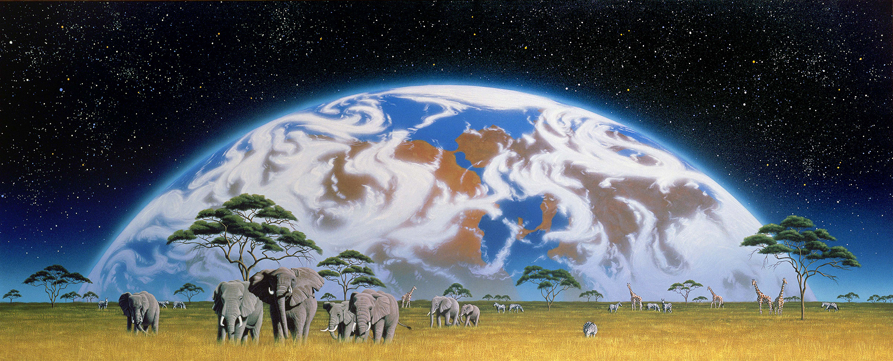 AFRICAN RISING Ⅱ